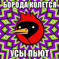 борода колется усы пьют