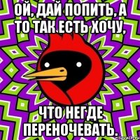 ой, дай попить, а то так есть хочу, что негде переночевать.