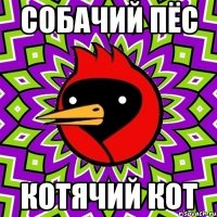 собачий пёс котячий кот