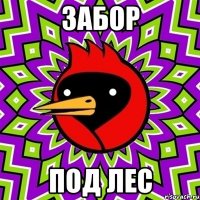 забор под лес