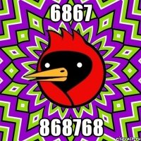 6867 868768