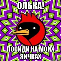 олька! посиди на моих яичках
