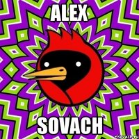 alex sovach