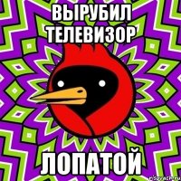 вырубил телевизор лопатой