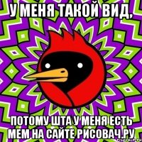 у меня такой вид, потому шта у меня есть мем на сайте рисовач.ру