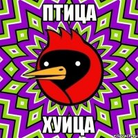 птица хуица
