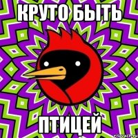 круто быть птицей