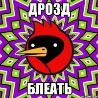 дрозд блеать