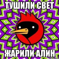тушили свет жарили алин