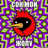 сок мой жопу