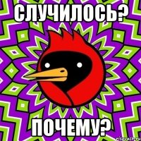 случилось? почему?