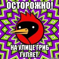 Осторожно! На улице гриб гуляет.