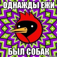 Однажды Ежи Был собак