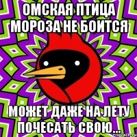 омская птица мороза не боится может даже на лету почесать свою...