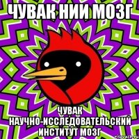 Чувак нии мозг Чувак научно-исследовательский институт мозг