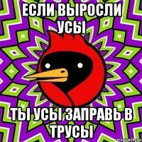 если выросли усы ты усы заправь в трусы
