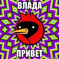 влада привет