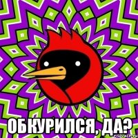  Обкурился, да?