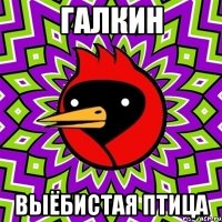 Галкин выёбистая птица