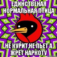 единственая нормальная птица не курит,не пьет а жрёт наркоту