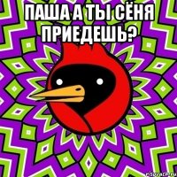 Паша а ты сёня приедешь? 