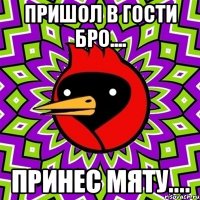 пришол в гости бро.... принес мяту....