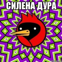 СИЛЕНА ДУРА 