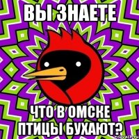 Вы знаете что в омске Птицы бухают?
