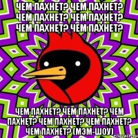 Чем пахнет? Чем пахнет? Чем пахнет? Чем пахнет? Чем пахнет? Чем пахнет? Чем пахнет? Чем пахнет? Чем пахнет? Чем пахнет? Чем пахнет? Чем пахнет? (Мэм-Шоу)