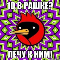 1d в Рашке? лечу к ним!