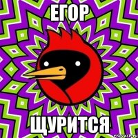 Егор Щурится