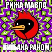 Рижа мавпа виїбана раком