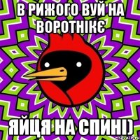 В рижого вуй на воротнікє Яйця на спині)
