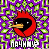  Пачиму?