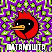  Патамушта