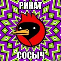 ринат сосыч