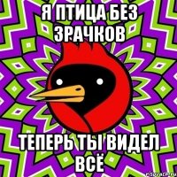 я птица без зрачков теперь ты видел всё