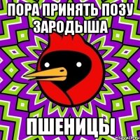 пора принять позу зародыша ПШЕНИЦЫ