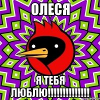 Олеся Я ТЕБЯ ЛЮБЛЮ!!!!!!!!!!!!!!