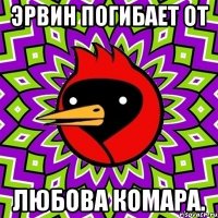 Эрвин погибает от любова комара.