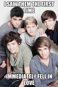 i saw them the first time immediately fell in love