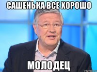 сашенька все хорошо молодец