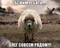 бежим ребята.... Олег совсем рядом!!!