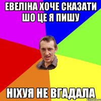 евеліна хоче сказати шо це я пишу ніхуя не вгадала