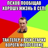 пєхов пообіщав хорошу жизнь в селі так тепер у всіх старих ворота фіолєтовиє