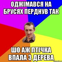 оджімався на брусях перднув так шо аж птічка впала з дерева