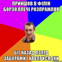 прийшов в філін борзо,плечі розпрамляв біг назад попід заборами і навприсядки