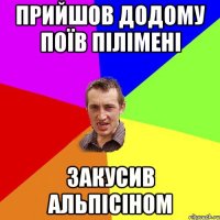 прийшов додому поїв пілімені закусив альпісіном