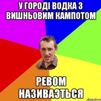 у городi водка з вишньовим кампотом ревом називаэться