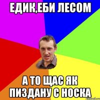 едик,еби лесом а то щас як пиздану с носка